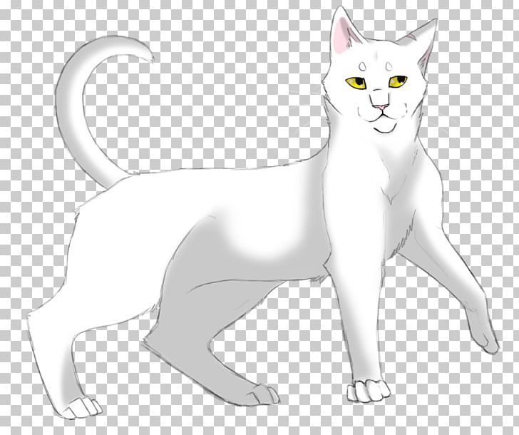 Cat Into The Wild Warriors Whitestorm Kitten PNG, Clipart, Animal, Animals, Artwork, Black And White, Brokenstar Free PNG Download