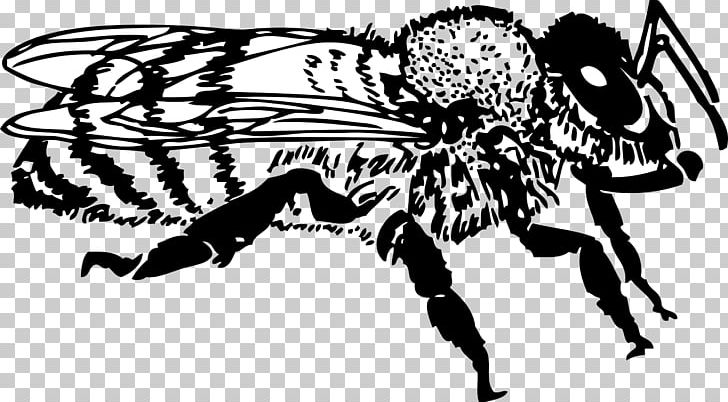 Honey Bee PNG, Clipart, Art, Arthropod, Artwork, Bee, Beehive Free PNG Download