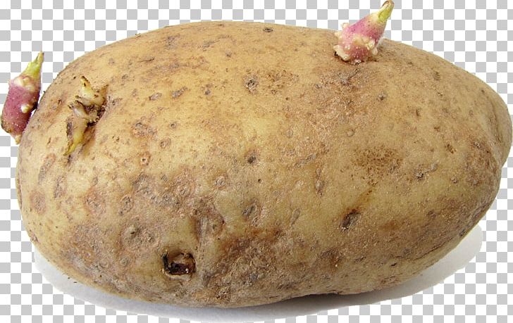 Russet Burbank Potato Pests Sprouting Sweet Potato Nightshade PNG, Clipart, Bell Pepper, Eggplant, Food, Pests, Potato Free PNG Download