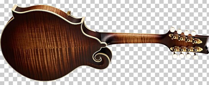 Acoustic-electric Guitar Musical Instruments Classical Guitar PNG, Clipart, Acoustic Electric Guitar, Classical Guitar, Customer, David Grisman, Electric Guitar Free PNG Download