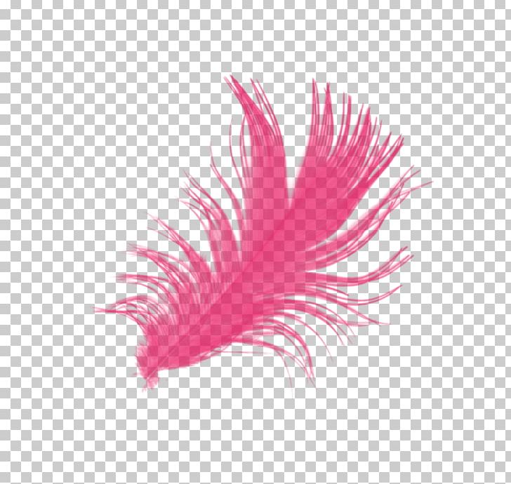 Feather Brush PNG, Clipart, Abstract, Abstract Pattern, Angel, Angel Wings, Animals Free PNG Download