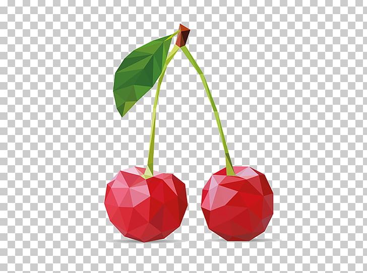 Cherry Polygon Geometry Auglis PNG, Clipart, Auglis, Cherries, Cherry, Cherry Blossom, Cherry Blossoms Free PNG Download