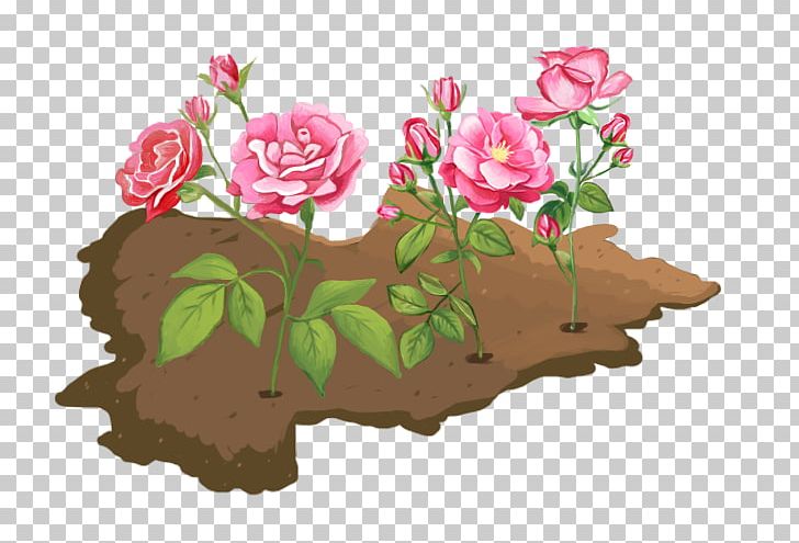 Garden Roses Floral Design Red Pink PNG, Clipart, Crop, Designer, Download, Flora, Floral Design Free PNG Download