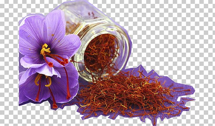 Saffron Autumn Crocus Flower Spice Golden Milk PNG, Clipart, Autumn Crocus, Chinese Herb, Crocus, Cuisine, Dish Free PNG Download