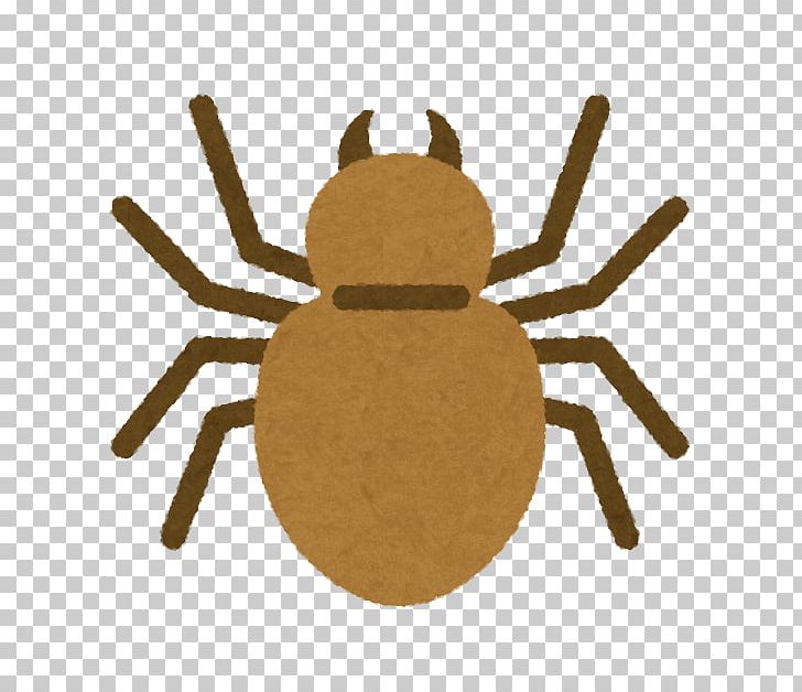 Spider Insecticide Pest Termite PNG, Clipart, Arthropod, Black Desert Online, Blattodea, Game, Gameon Co Ltd Free PNG Download