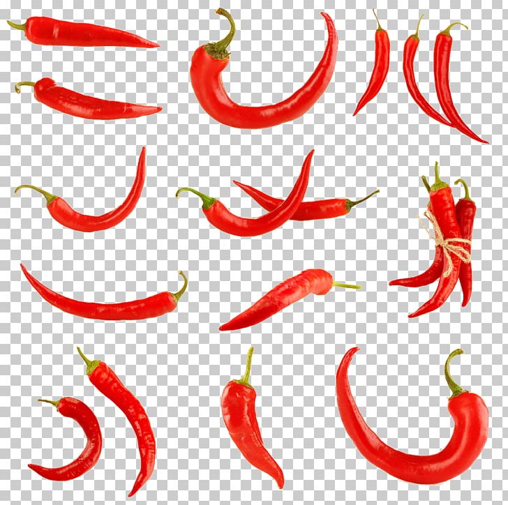 Chili Pepper Switch PNG, Clipart, Capsicum, Cayenne Pepper, Chili, Chili Pepper, Chili Peppers Free PNG Download