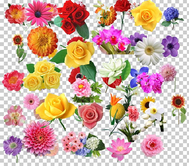 Illustration PNG, Clipart, Advertising, Annual Plant, Artificial Flower, Backgroun, Dahlia Free PNG Download