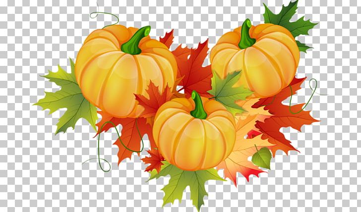 Pumpkin Cucurbita Pepo Thanksgiving PNG, Clipart, Autumn Harvest, Bumper, Calabaza, Country, Cucurbita Free PNG Download