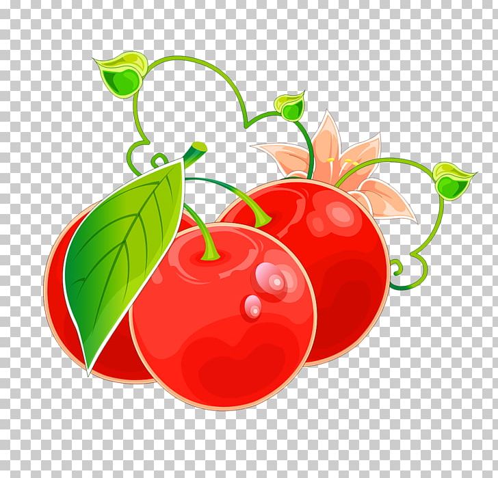 Vegetable Salad Food Khinkali Iceberg Lettuce PNG, Clipart, Apple, Berry, Cherry, Dessert, Diet Food Free PNG Download