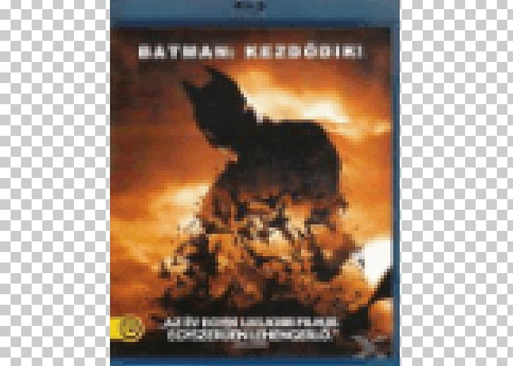 Blu-ray Disc Batman Carmine Falcone DVD Film PNG, Clipart, 4k Resolution, Bat, Batman Begins, Bluray Disc, Carmine Falcone Free PNG Download