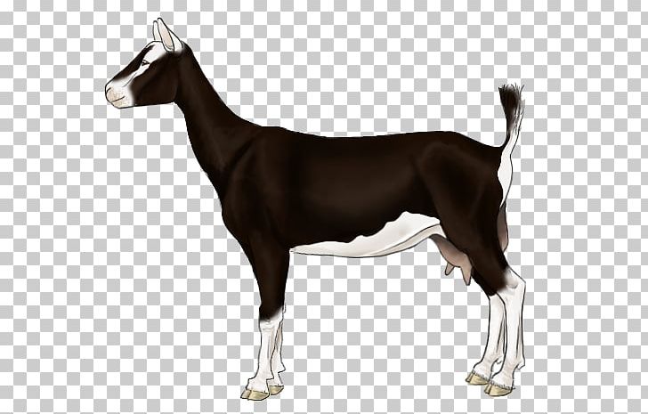 Dog Breed Horse Goat PNG, Clipart, Alpine Goat, Breed, Carnivoran, Dog, Dog Breed Free PNG Download