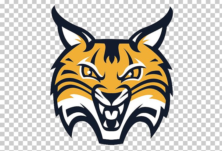 Quinnipiac University Quinnipiac Bobcats Men's Ice Hockey Quinnipiac Bobcats Men's Basketball Quinnipiac Bobcats Women's Basketball Quinnipiac Bobcats Baseball PNG, Clipart,  Free PNG Download