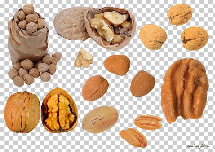 Walnut Dried Fruit Auglis PNG, Clipart, Acorn, Auglis, Butterbrot, Common Fig, Dried Fruit Free PNG Download