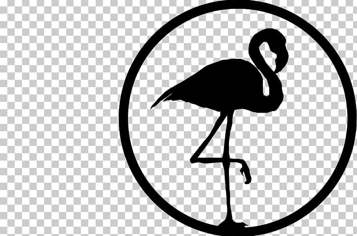 Animal Illustrations Flamingo Drawing PNG, Clipart, Animal, Animal Illustrations, Art, Artwork, Beak Free PNG Download