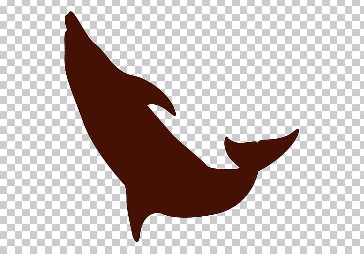 Dolphin Silhouette PNG, Clipart, Animals, Beak, Carnivoran, Cartoon, Cetacea Free PNG Download