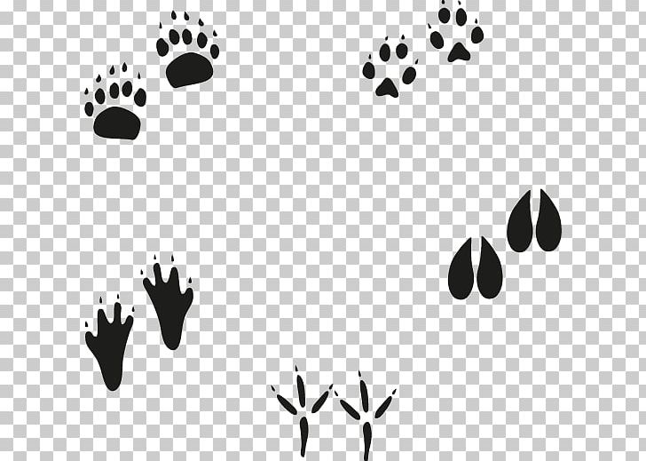 Euclidean Animal Footprint PNG, Clipart, Animal Footprints, Beach Footprints, Black, Black And White, Dinosaur Footprints Free PNG Download