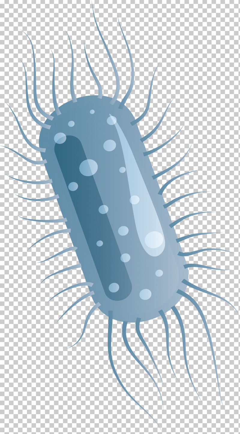 Coronavirus Corona COVID PNG, Clipart, Corona, Coronavirus, Covid, Insect, Virus Free PNG Download