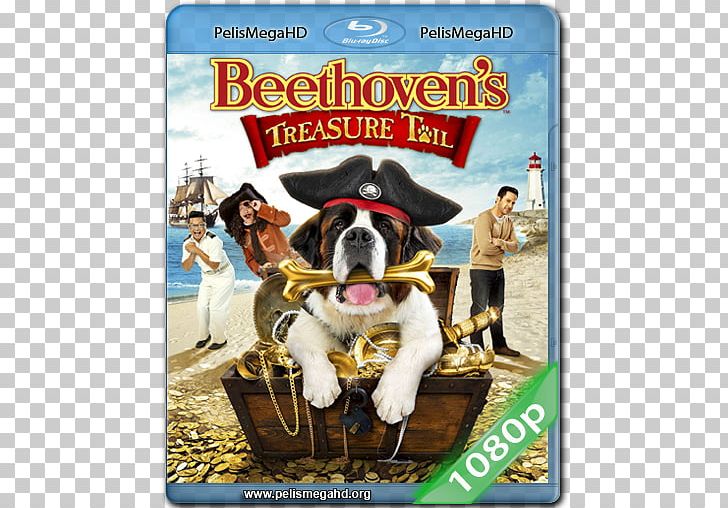 Blu-ray Disc Beethoven Digital Copy DVD 1080p PNG, Clipart,  Free PNG Download