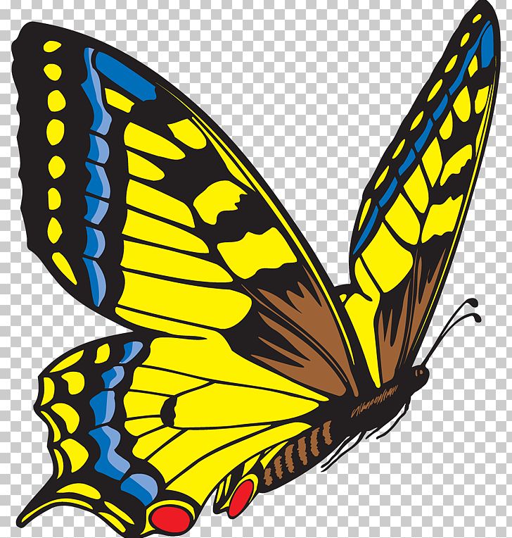 Butterfly PNG, Clipart, Blog, Brush Footed Butterfly, Butterfly, Butterfly Clip Art, Clip Art Free PNG Download