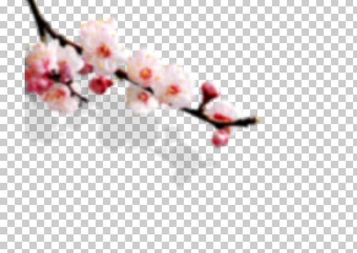 Chinese Cuisine PNG, Clipart, Branch, Cherry Blossom, Chinese, Chinese Cuisine, Chinese Style Free PNG Download