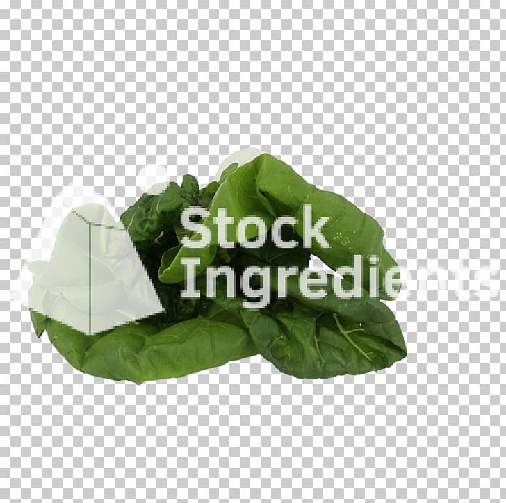 Leaf Vegetable Plastic PNG, Clipart, Bok, Bok Choy, Choi, Choy, Leaf Free PNG Download