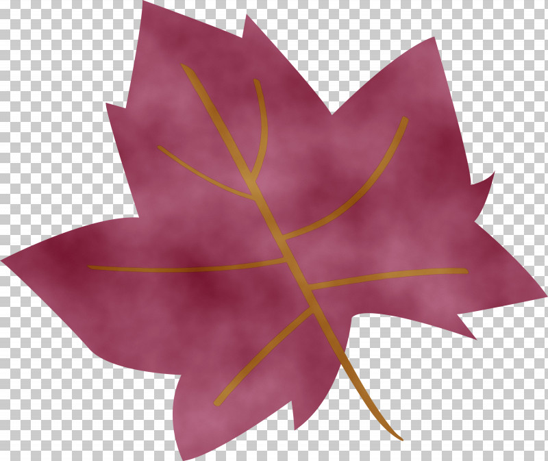 Maple Leaf PNG, Clipart, Abstract Leaf, Biology, Cartoon Leaf, Cute Leaf, Leaf Free PNG Download
