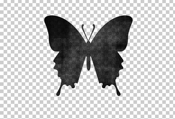 Butterfly Insect Silhouette PNG, Clipart,  Free PNG Download