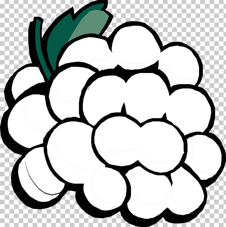 Fruit Coloring Book Grape Child Vegetable PNG, Clipart, Adult, Apple, Area, Ball, Banana Free PNG Download