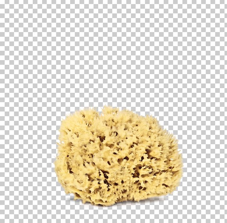 Sponge Bathing Cosmetics Washing Shower Gel PNG, Clipart, Bathing, Cosmetics, Discounts And Allowances, Exfoliation, Laneige Free PNG Download