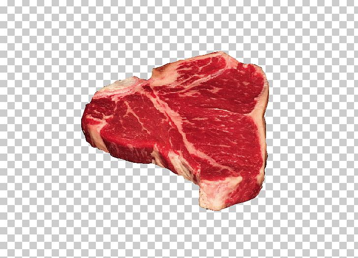 t bone steak clipart