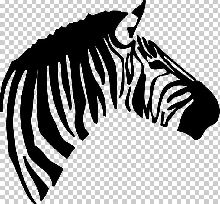 Zebra PNG, Clipart, Animals, Black, Black And White, Carnivoran, Desktop Wallpaper Free PNG Download