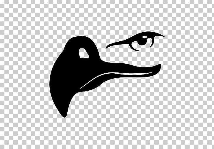 Bald Eagle Eagle Eye Beak PNG, Clipart, Animals, Bald Eagle, Beak, Bird, Black And White Free PNG Download