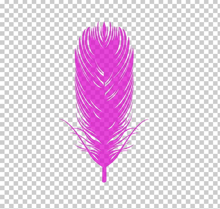 Bird Eagle Feather Law Euclidean PNG, Clipart, Abstract, Abstract Pattern, Angel, Angel Wings, Animals Free PNG Download
