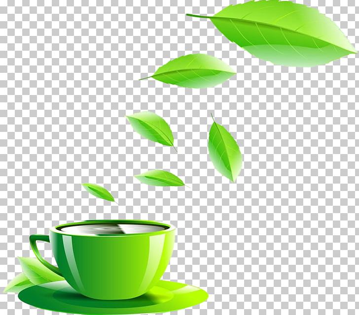 Green Tea Coffee Cup PNG, Clipart, Adobe Illustrator, Alternative Medicine, Background Green, Coffee, Coffee Cup Free PNG Download