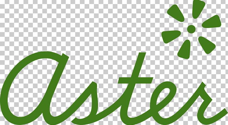 Logo Brand Leaf PNG, Clipart, Area, Aster, Brand, Grass, Green Free PNG Download