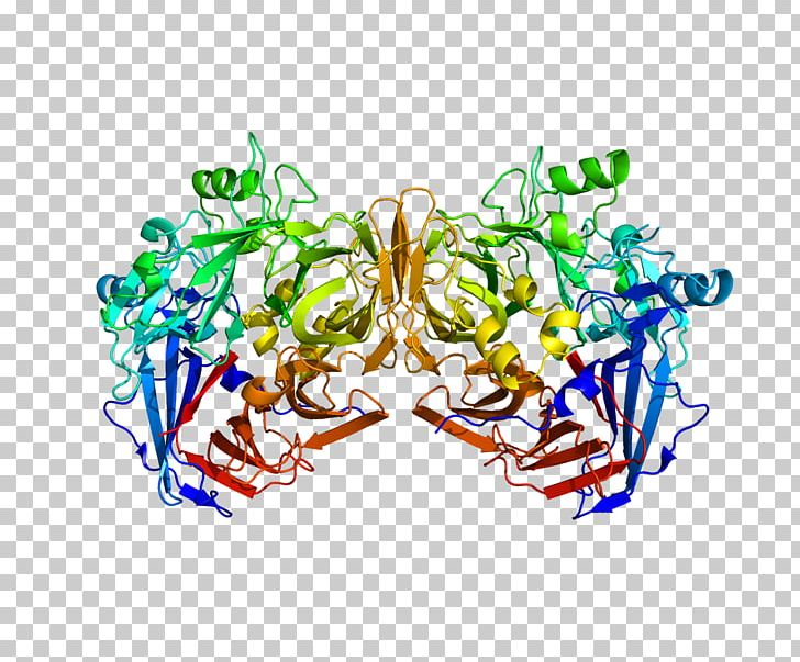 RPE65 Retinal Pigment Epithelium Visual Phototransduction Protein PNG, Clipart, Area, Art, Cell, Enzyme, Eye Free PNG Download