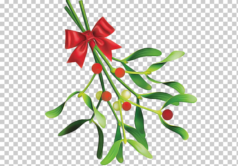 Flower Plant Leaf Branch Tree PNG, Clipart, Branch, Flower, Leaf, Plant, Plant Stem Free PNG Download