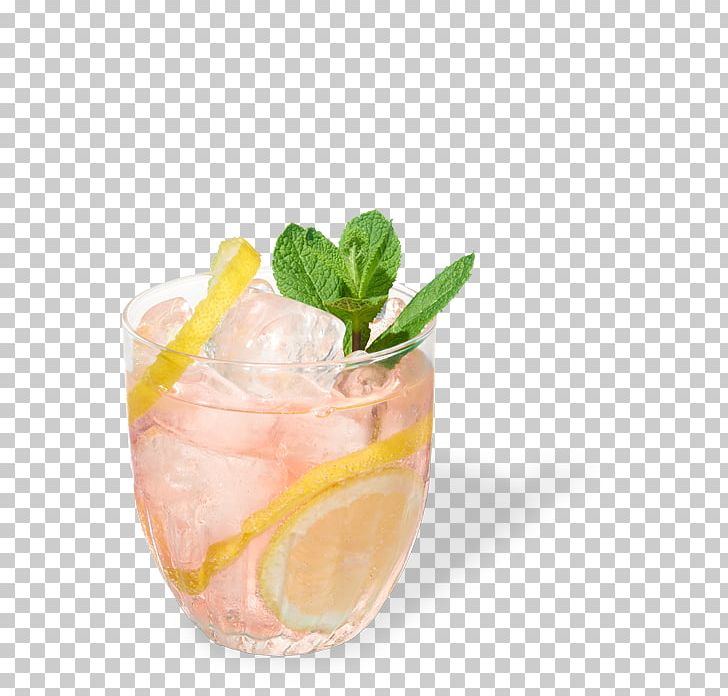 Cocktail Garnish Gin And Tonic Sea Breeze Mai Tai PNG, Clipart, Beverages, Cocktail, Cocktail Garnish, Drink, Drink Mixer Free PNG Download