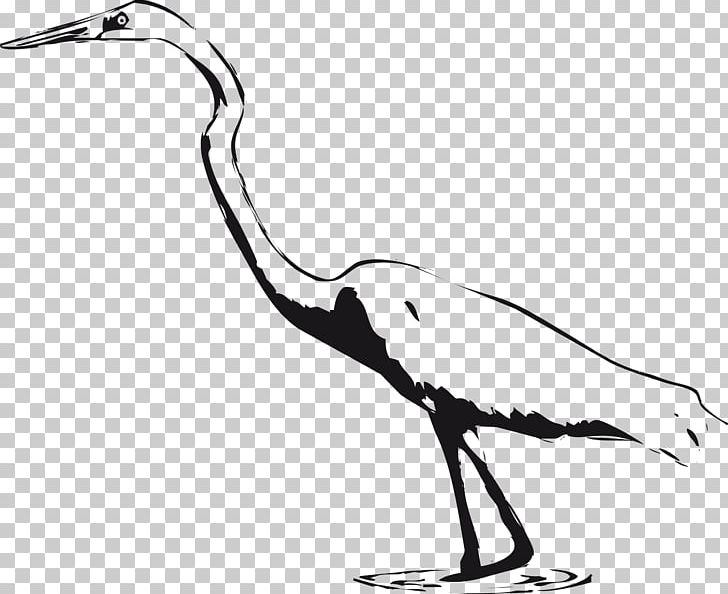 Great Egret Bird Crane PNG, Clipart, Ardea, Beak, Bird, Black And White, Black Marsh Cliparts Free PNG Download