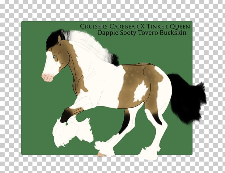 Pony Mustang Foal Stallion Mare PNG, Clipart,  Free PNG Download