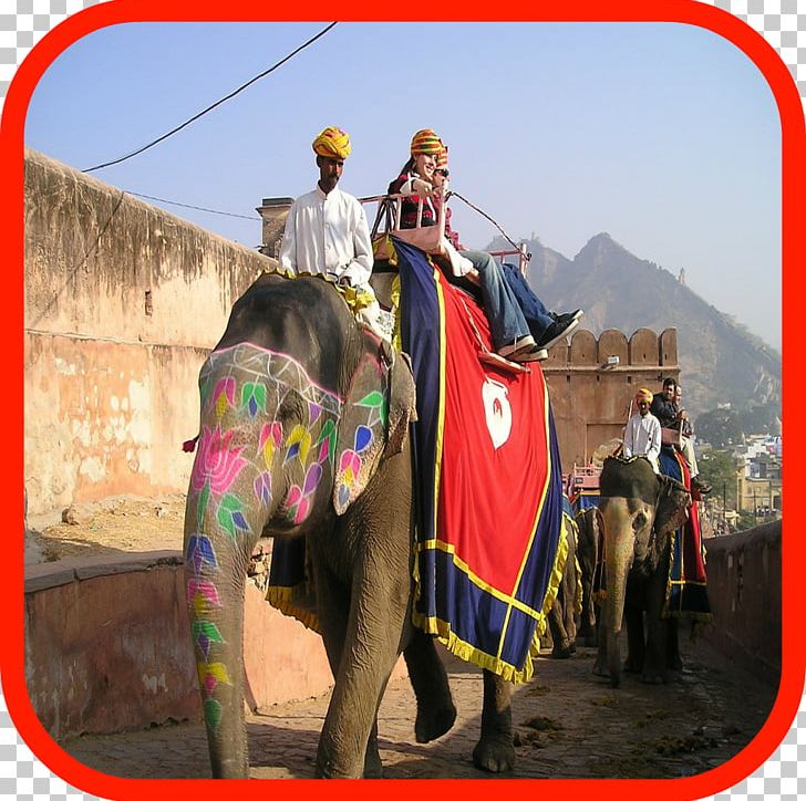 Sonepur Cattle Fair Elephantidae Rajasthan Travel Ganesha PNG, Clipart, Camel, Camel Like Mammal, Elephantidae, Elephants And Mammoths, Ganesha Free PNG Download