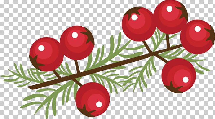 Christmas Berry Gift PNG, Clipart, Berry, Branch, Christmas, Christmas Decoration, Christmas Ornament Free PNG Download