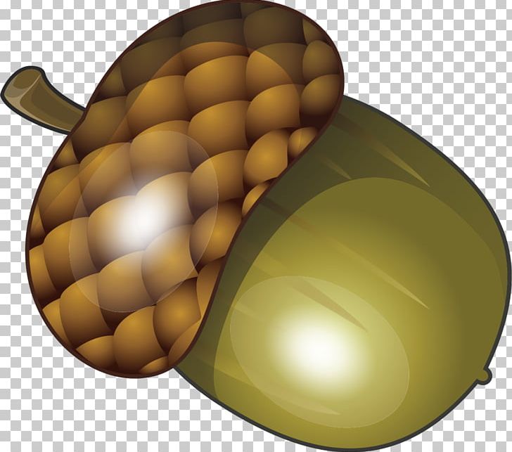 Green Acorn Fruit PNG, Clipart, Acorn, Background Green, Designer, Download, Egg Free PNG Download