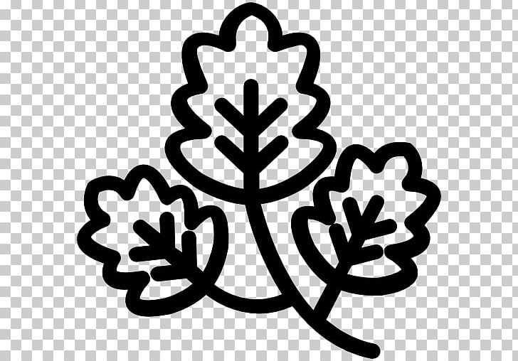 Leaf Encapsulated PostScript Computer Icons PNG, Clipart, Black And White, Computer Icons, Encapsulated Postscript, Flower, Flowering Plant Free PNG Download