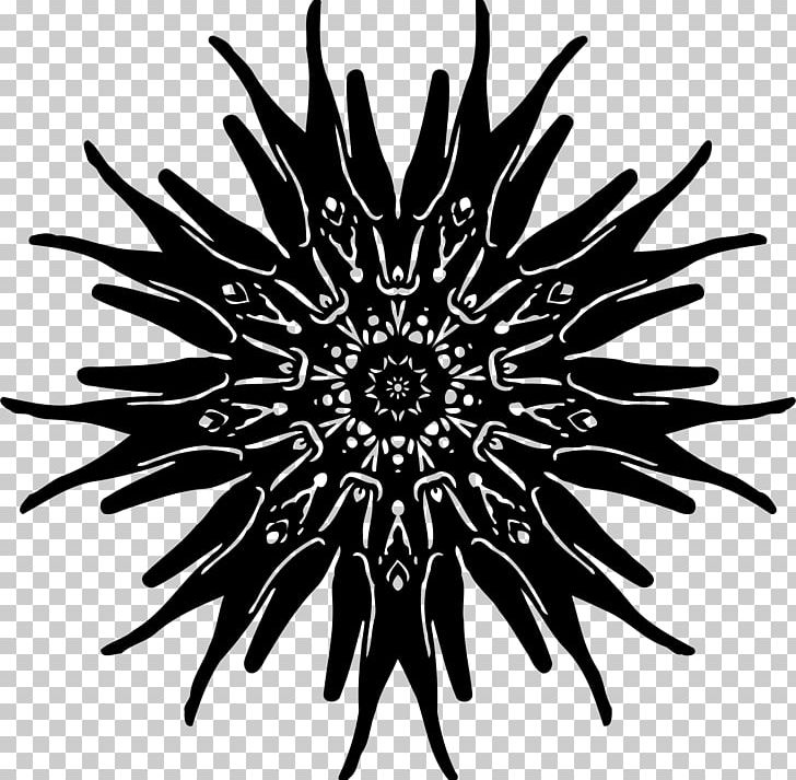 Sea Urchin Drawing Sea Otter PNG, Clipart, Abstract, Abstract Design, Art, Black, Black And White Free PNG Download