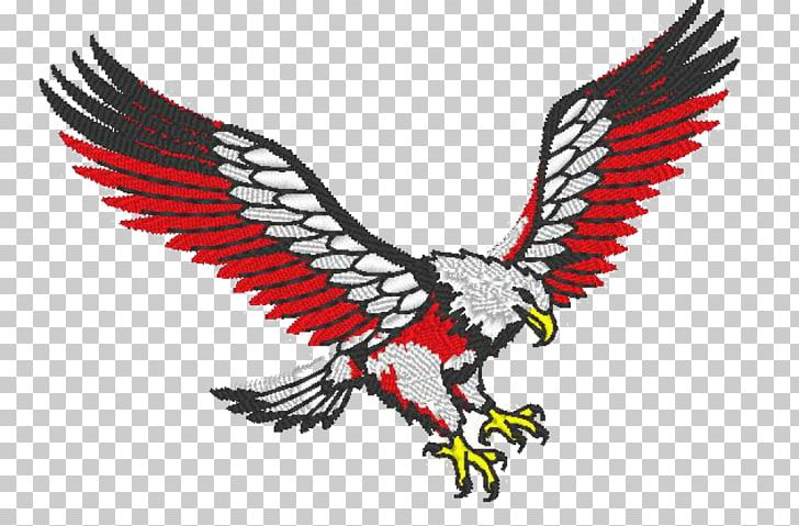 Bald Eagle Drawing Red PNG, Clipart, Accipitriformes, Animals, Bald Eagle, Beak, Bird Free PNG Download
