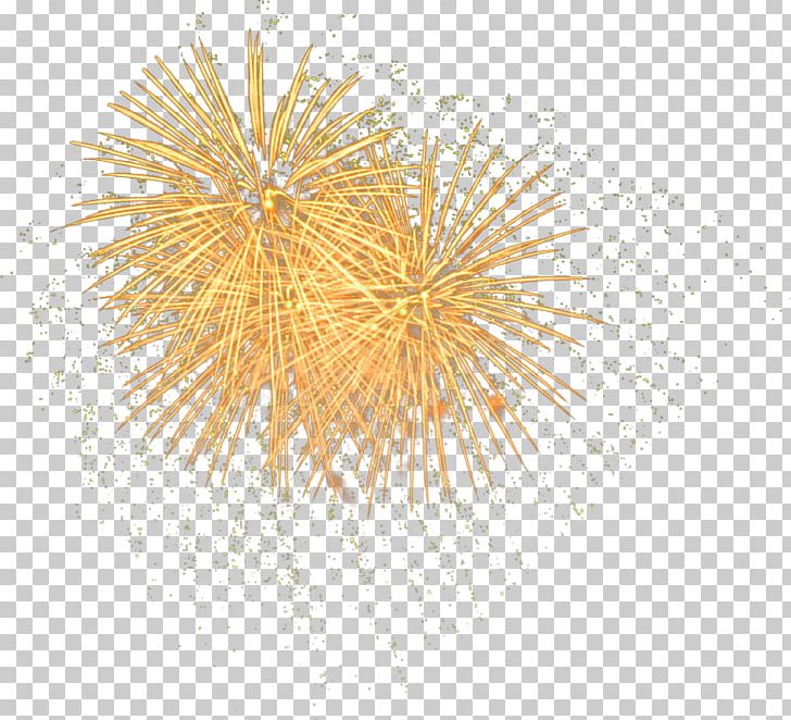 Fireworks Pyrotechnics PNG, Clipart, Art, Artificier, Autumn, Autumn Background, Autumn Leaf Free PNG Download