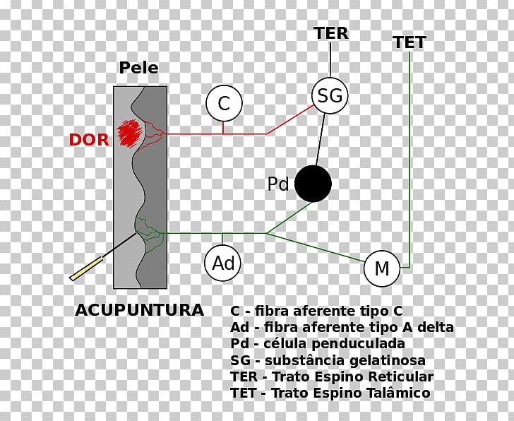 Line Point Angle PNG, Clipart, Angle, Area, Art, Circle, Diagram Free PNG Download