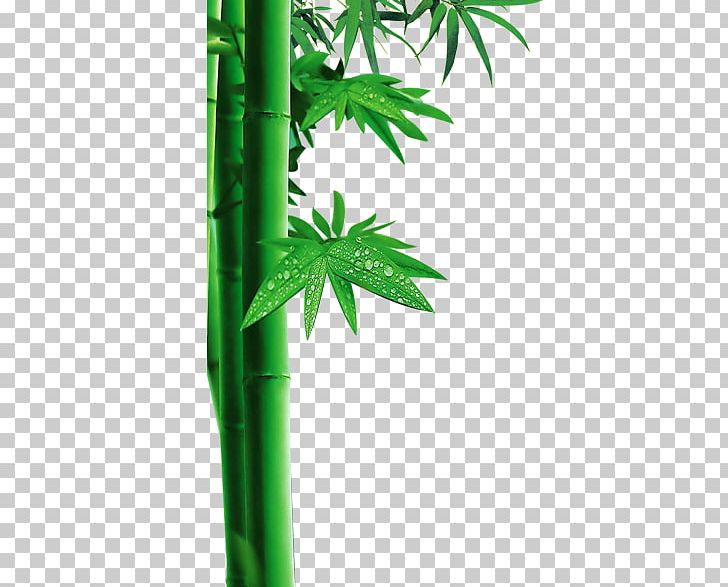 Mer De Bambou Bamboo Template PNG, Clipart, 3d Computer Graphics, Background Green, Bamboo, Bamboo Leaves, Cartoon Free PNG Download