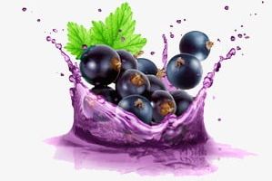 Fruits And Juices PNG, Clipart, Blueberry, Fruit, Fruit Juice, Fruits Clipart, Juice Free PNG Download